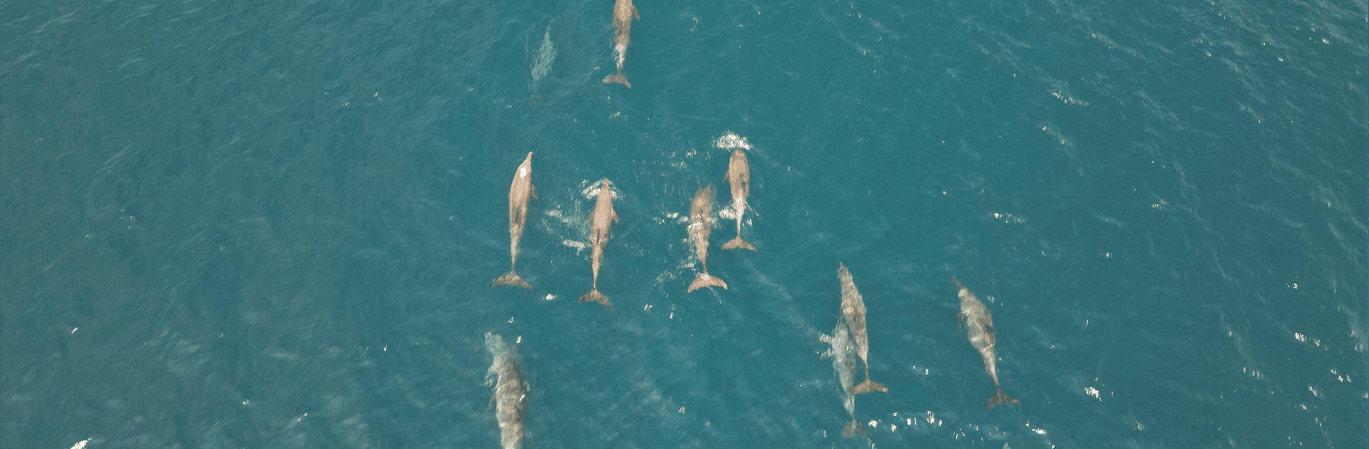 Barren Island Volcano Expedition 2