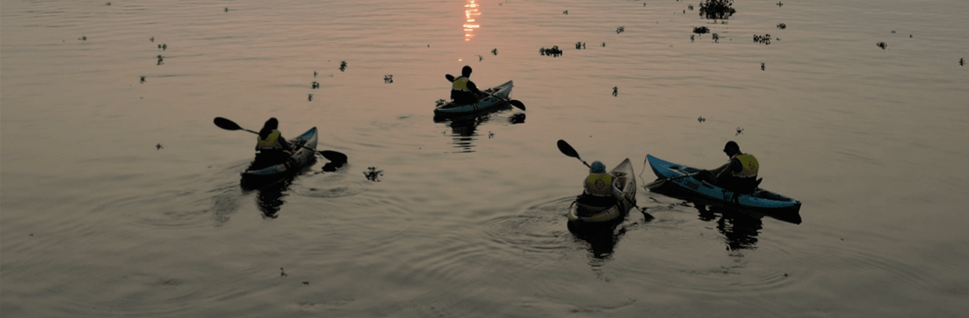 Kayaking in Havelock 1