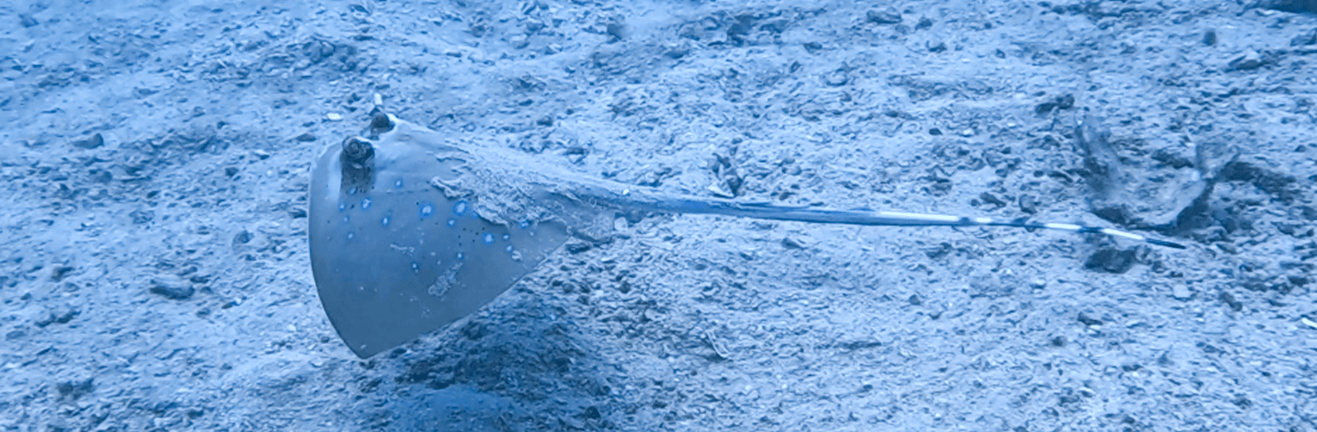 Advanced Open Water Course – PADI Certification 3