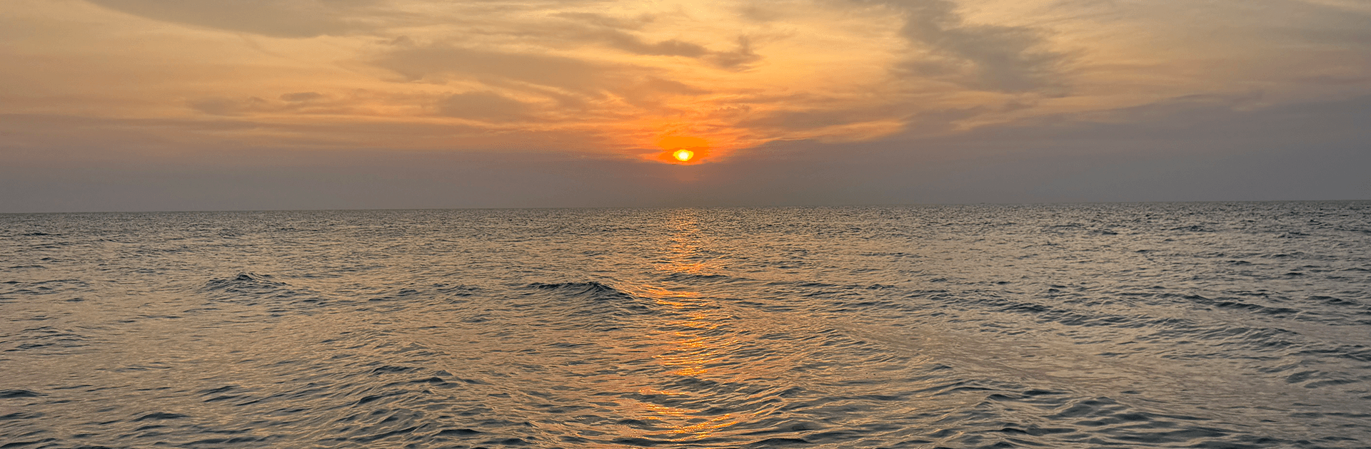 Sunset Snorkel Trip to Nicholson & Wilson Island 3